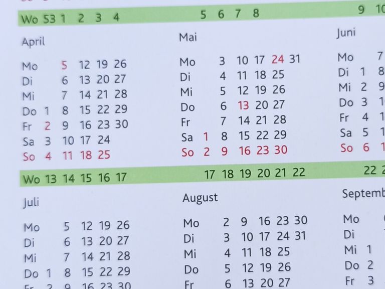 Belegungskalender 2021